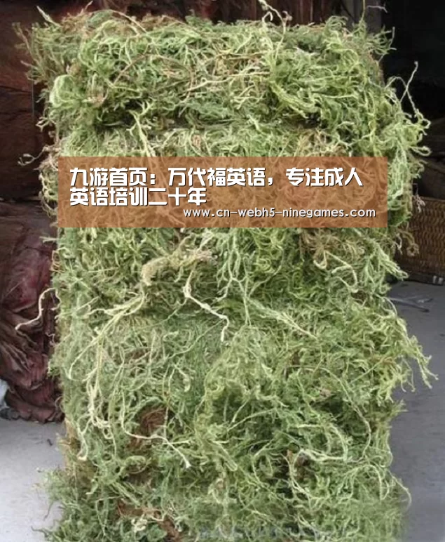 九游网页版