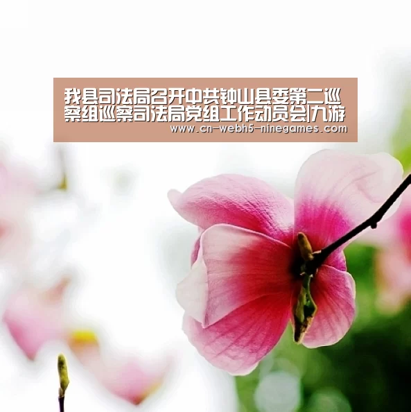 九游官方网站