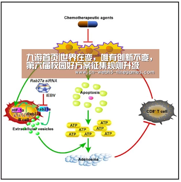 九游官方网站